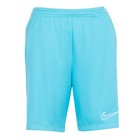 Nike Boy s Trophy23 Training Shorts
