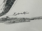Original Pencil Drawing     Running Cheetah     Signed Schwartz     Wildlife Art
