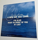 Vtg Celine Dion  a New Day Has Come  2002 Double-sided Promo Album Flat - No Lp