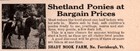 3 Early Ads  Shady Nook Pony Shetland Thinning Herd N Ferrisburgh Baby 