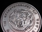 Palm Sized Huge Furious Dragon Coin Shaped Paperweight 88mm  04302503