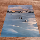 The Beach Boys 1980 Concert Program   vintage California   Amazing Condition