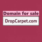 Dropcarpet  com   Domains For Sale   Business Brand  Website Name   Porkbun