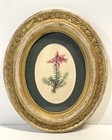 Antique Framed Botanical Print In Oval Gold Gilt Frame