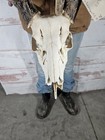 Wild 12 Point Whitetail Deer Antler Rack Horn Skull European Mount Man Cave 120 