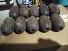 10 Vintage Wooden Marine Fish Net Cedar Floats Oblong Buoy 