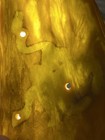 Vintage Translucent Green Swirl Bakelite Catalin Piano Top  only  Pieces Parts