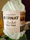 Yarnspirations Bernat Blanket Extra  Thick Yarn  21 2 Oz Soft pastel Green
