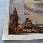 1920s Big Vintage Chevrolet Wing Logo Car Automobile Color Art Print Ad