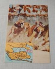 1979 Derby Lane Greyhound Racing Program St Petersburg Florida