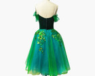 New Ballet Dance Dress Girls Tutu Skirts Tulle Dance Wear Professional Skirt