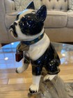 Vintage Boston Terrier Or Boxer Pottery Bank With Lock   No Key Dog Savings Bank