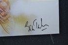 Gb First Day Cover 2015 Bees Signed By Bill Turnbull
