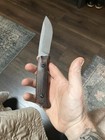 Benchmade Saddle Mountain Skinner 