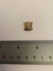 Foe 20 Years Fraternal Order Of Eagles Lapel Pin P103