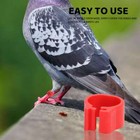 200pcs Leg Bands Plastic Chicken Pheasant Poultry Duck Bird Leg Rings Id Tags