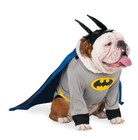 Dc Comics Superheroes  Batman Pet Costume For Dogs Or Cats By   Xxl
