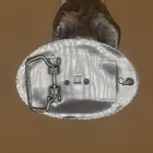 Vintage Pbr Bull Riders  Belt Buckle  Heavy Nickel Plated