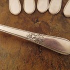 Is Adoration Set Of 6 Soup Spoons 1847 Rogers Vtg Silverplate Flatware Lot C