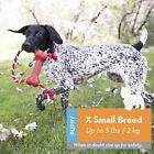 Kong - Goodie Bone With Rope - Durable Rubber Chew Bone  Teeth Cleaning Dog Toy