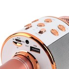 Professional Bt Wireless Microphone Karaoke Speaker Ktv Music Player Singin Jyng