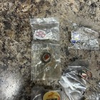 Vintage Lapel Pins Loyal Order Of Moose Loom Lot Of 22 See Pics Michigan Pap