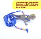 Adjustable Reptile Training Lead Harness Leash Nylon Rope For Lizard Crested    