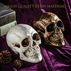 Halloween Skull Statues     Set Of 2 Resin Skeleton Head Decorations  gold  