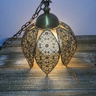 Vintage Lotus Swag Pendant Light Mid Century Hollywood Regency Gold Corded Works