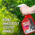 Messina Wildlife Messinas Dog Cat Stopper Ready To Use 128 Oz Ww-u-128