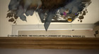 Vintage Van Halen Carnival Mirror Lion Head 80s Prize Rare Original Mirror