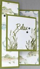 Stampin   up  Masculine Any Occasion Fun Fold