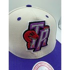 Mitchell   Ness Toronto Raptors Snapback Hat Tan Purple Nba Original Fit Cap