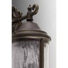 P5650-20 Ashmore 3-light Antique Bronze Seeded Glass Lantern Light  ob 