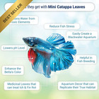 Sungrow 50 Pcs Catappa Indian Almond Leaves 2 Inch Water Conditioner For Betta