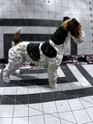 Wire Fox Terrier Adult Matte Finish  7723