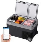 Compressor Electric Cooler Portable Refrigerator  40qt 38l  Dual Zone Car Refrig