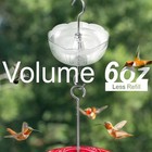 Ant Moat For Hummingbird Feeders   4 Pack  6 Oz  Vintage Style Clear 