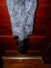 Huge Beautiful Tanned Silver Fox Fur Pelt Skin Taxidermy S2 Man Cave Log Cabin