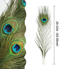 10pcs Real Natural Peacock Eye Feathers 10-12 Inch For Diy Craft Floral Arrangem