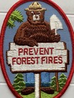 Vintage Smokey Bear Prevent Forest Fires Sign Us Forest Service Souvenir Patch