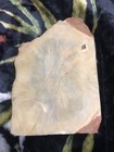 Vintage Native American Indian Warrior Hand Painted On Marble Slab And Signed