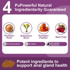 150 Soft Chews Of Pumpkin   Anal Gland Support Supplement For Dogs No Scoot