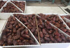 Medjool Dates 11lb Box   Fresh From California  Fast Free Shipping 