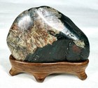 Kikkaseki Chrysanthemum Bonsai Japanese Natural Stone Suiseki Stone With Stand