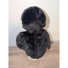 Ganz Webkinz Penguin Plush Stuffed Animal Black White Orange Hm132 No Code 9in