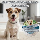 2x Adjustable Dogs Collar For Small Dogs Soft Durable Comfortable Pet Collar Us