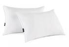 Serta Perfect Sleeper Comfy Sleep Eco-friendly Bed Pillow  2 Pack  Queen 