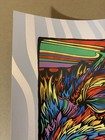Widespread Panic   2025 Red Rocks Poster Morrison Denver Co   Todd Slater Print