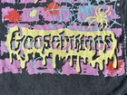 90   s Goosebumps Spiders   Slime Beach Towel 53x27